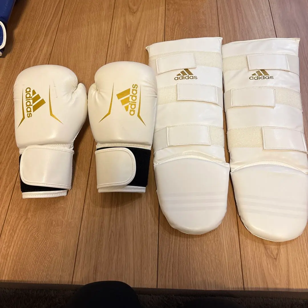 キックボクシンググローブとレガース