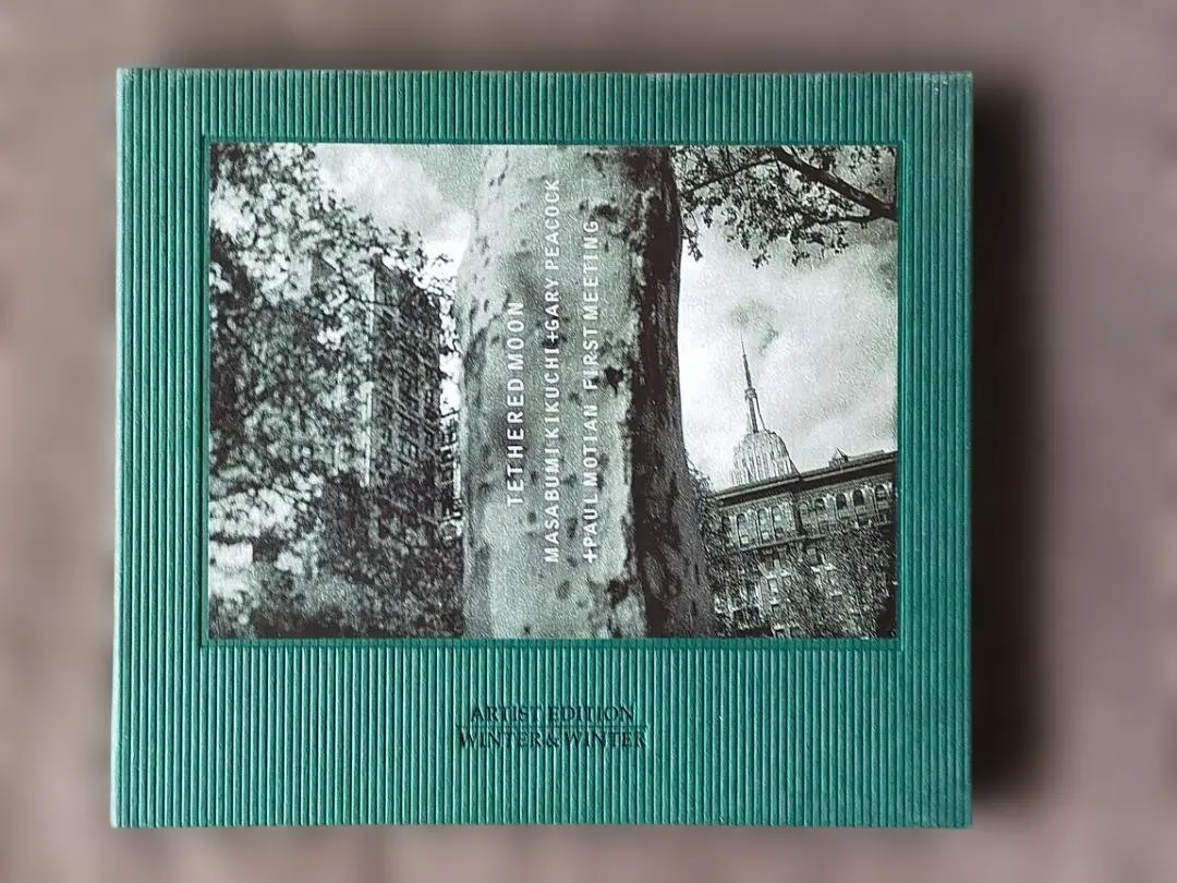 Masabumi Kikuchi Tethered Moon