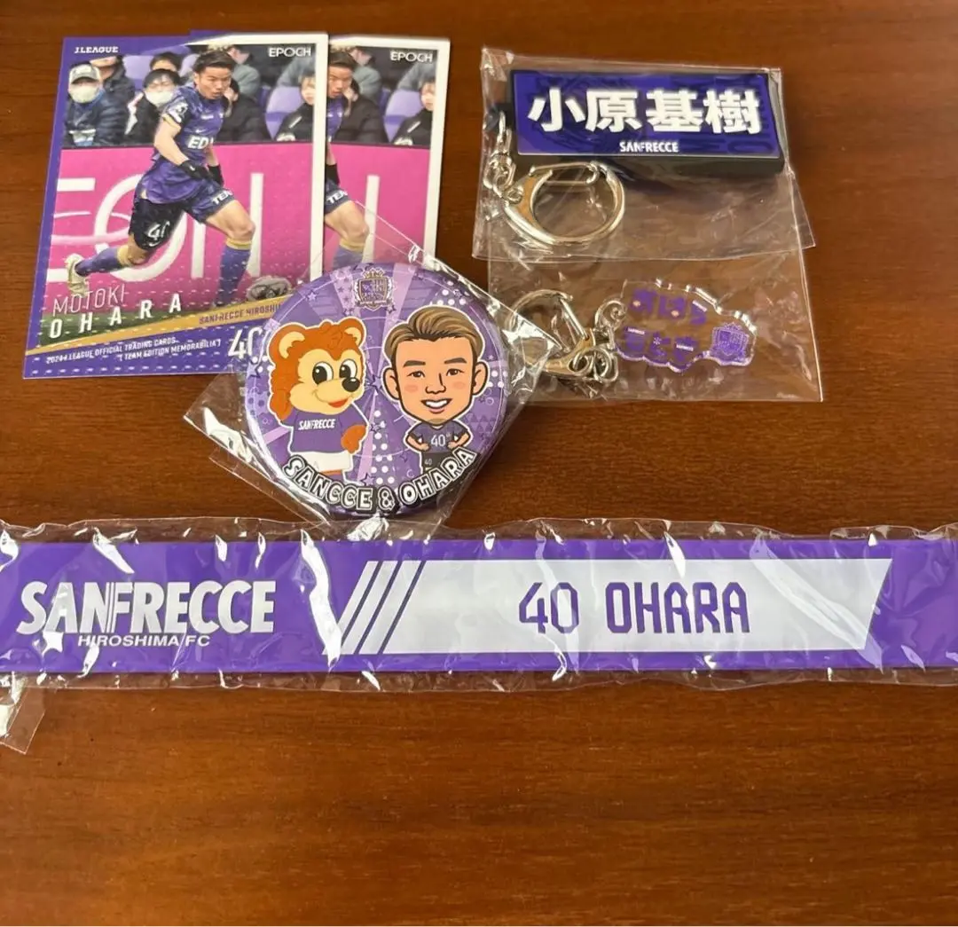 小原基樹　サンフレッチェ　アルビレックス新潟