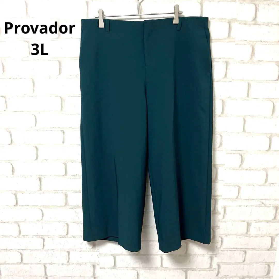 Provador パンツ　ワイドパンツ　大きいサイズ　ラオス製　3L