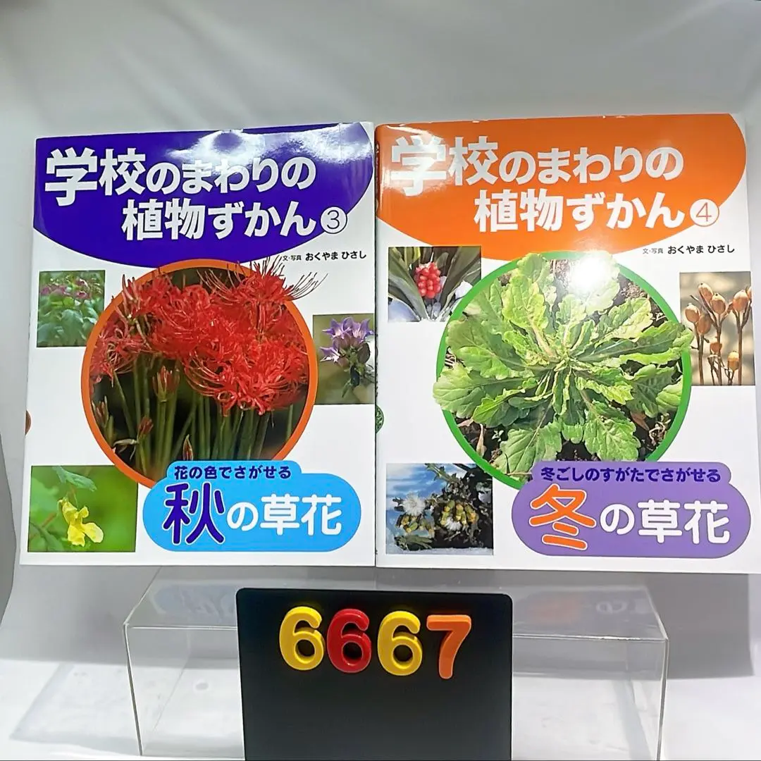 ［6667］学校のまわりの植物ずかん　3、4 奥山 久/おくやまひろし