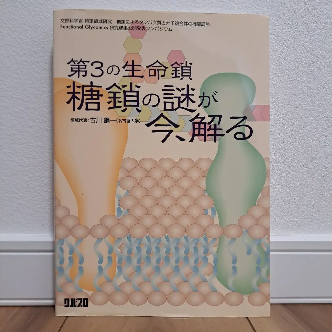 第3の生命鎖糖鎖の謎が今、解る : 文部科学省特定領域研究糖鎖によるタンパク質…