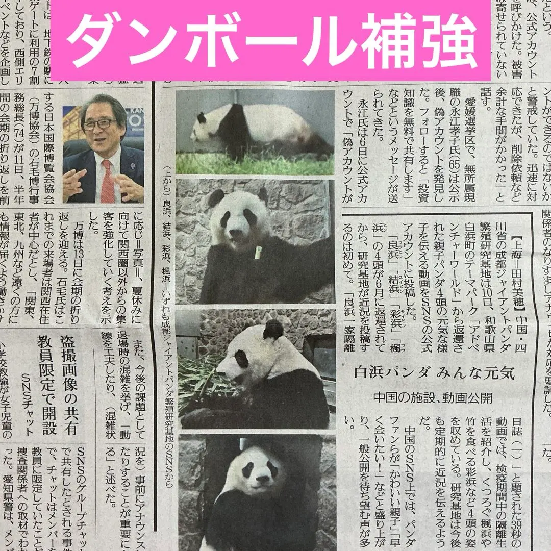 パンダ　良浜　結浜　彩浜　楓浜　読売新聞7/12