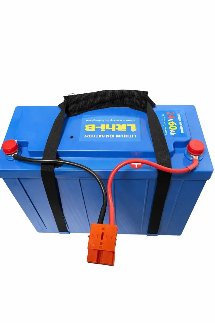 リチビー(Lithi-B) 24V60Ah バッテリー＋純正充電器　付属品あり