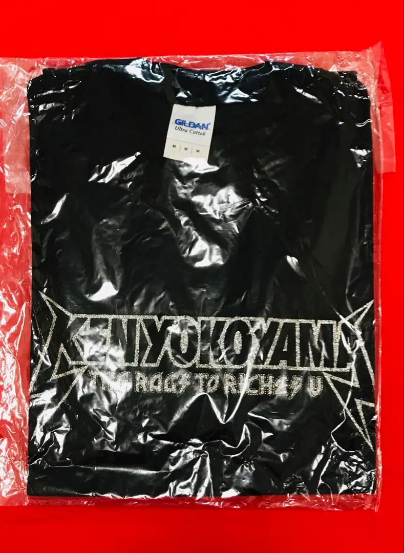 新品 KEN YOKOYAMA 横山 健『RagsツアーⅤ』銀ラメTシャツM