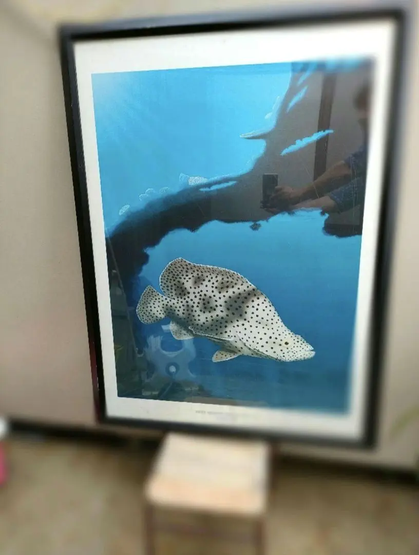 ヴィンテージ　REEF BEAUTY DARRELL HOOK　アートポスター