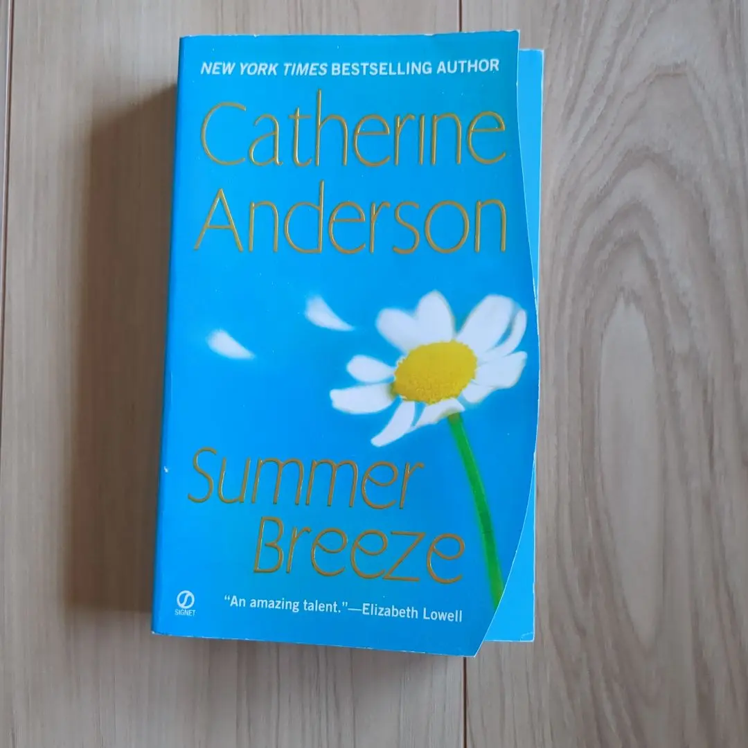 Catherine Anderson Summer Breeze