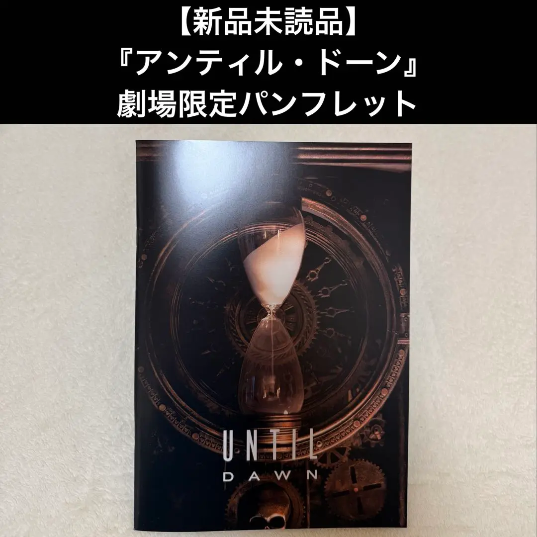 【新品未読品】『アンティル・ドーン』劇場限定パンフレット