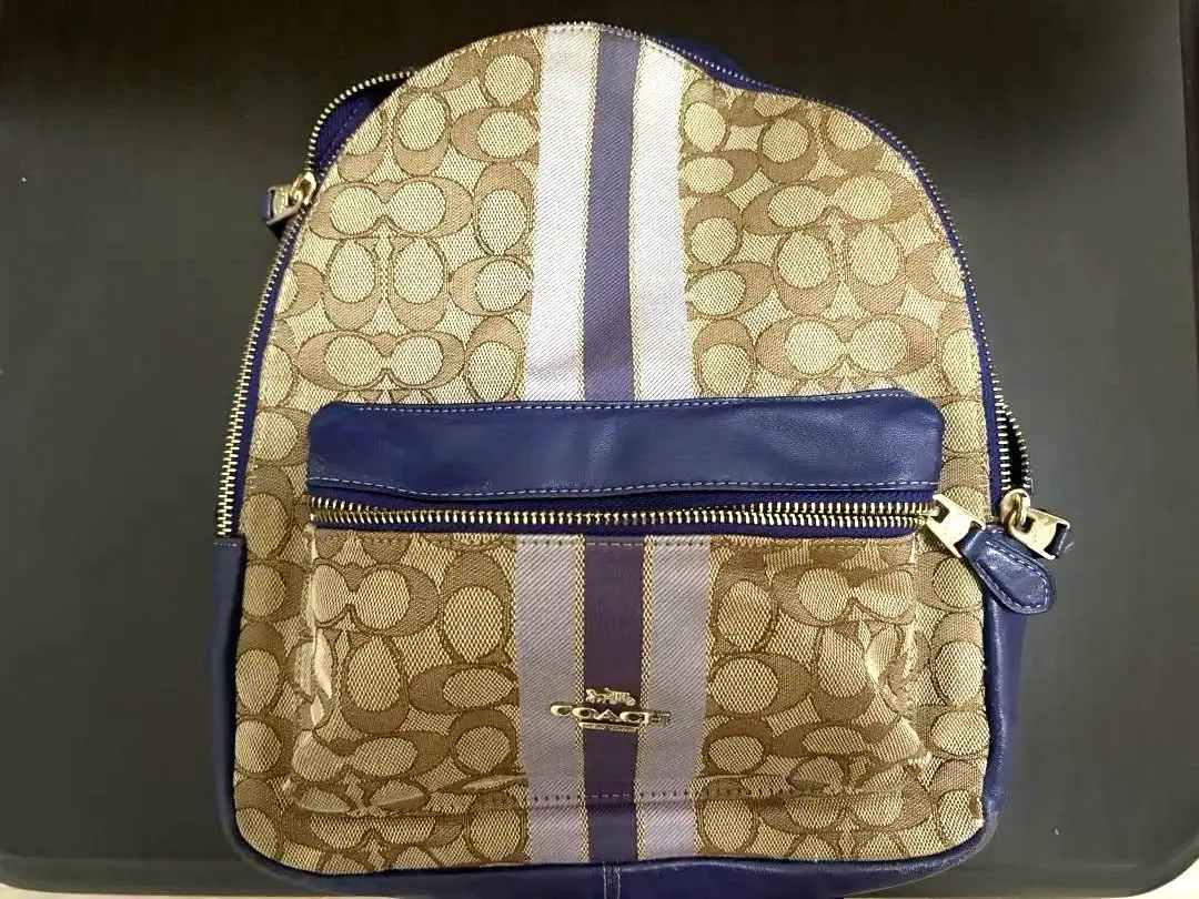 Coach ストライプデザイン リュック