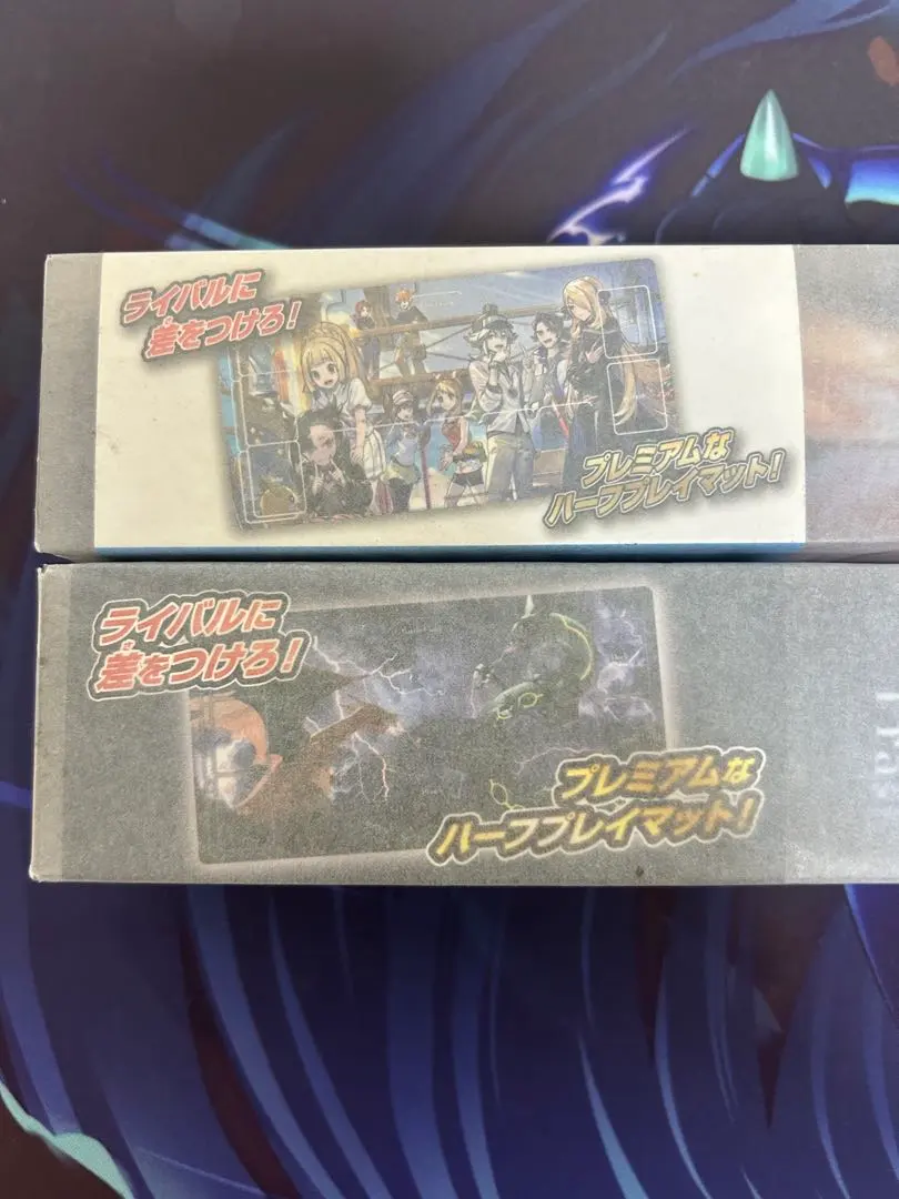 ポケモンカードゲーム プレイマット(トレーナーズサロン、リザードン&レックウザ)