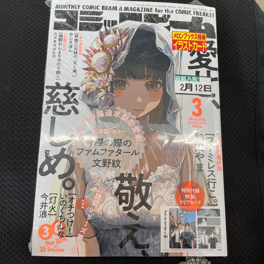 コミックビーム　3月号　⚠️付録なし