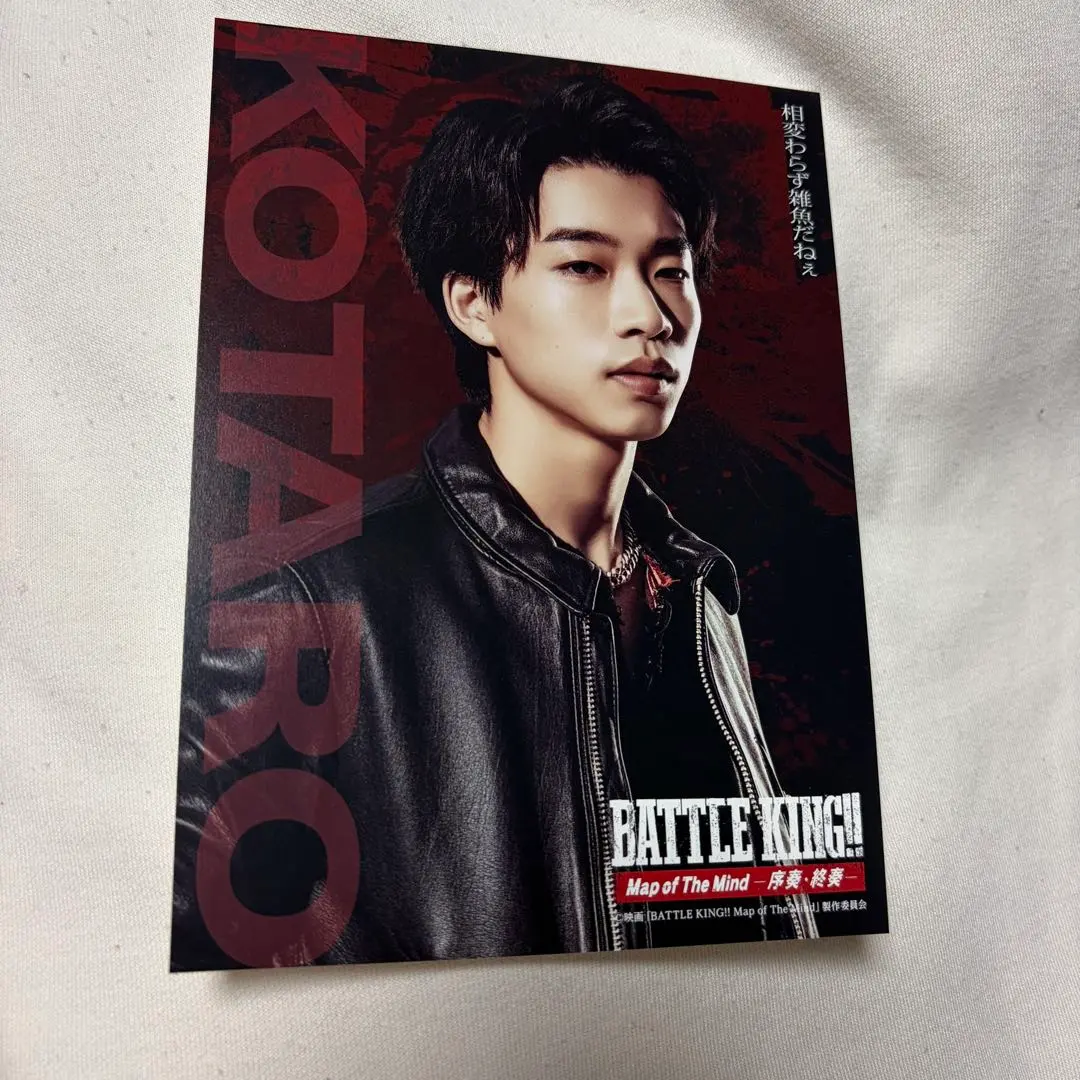 BATTLE KING バトルキング ポストカード BUDDiiS SHOOT