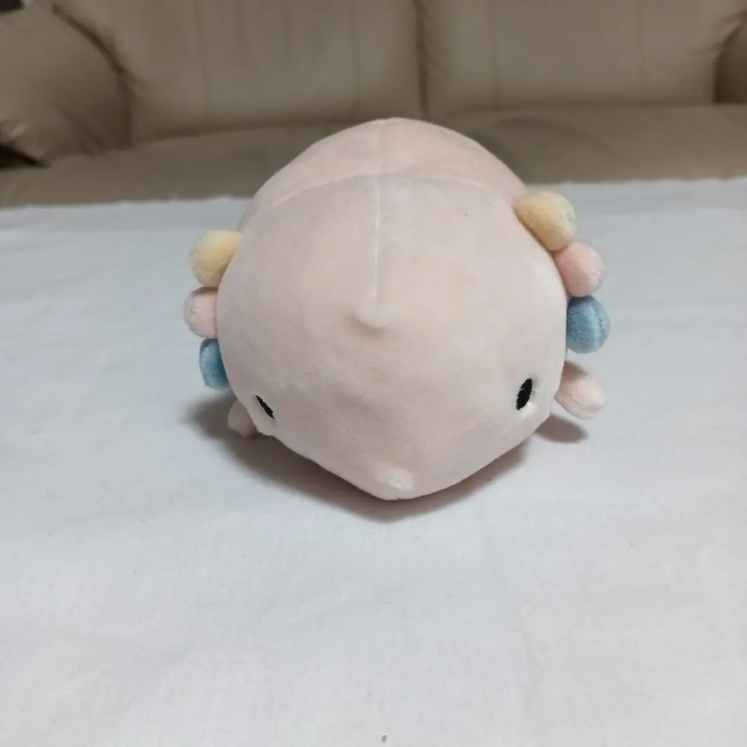 ウーパールーパー　ぬいぐるみ