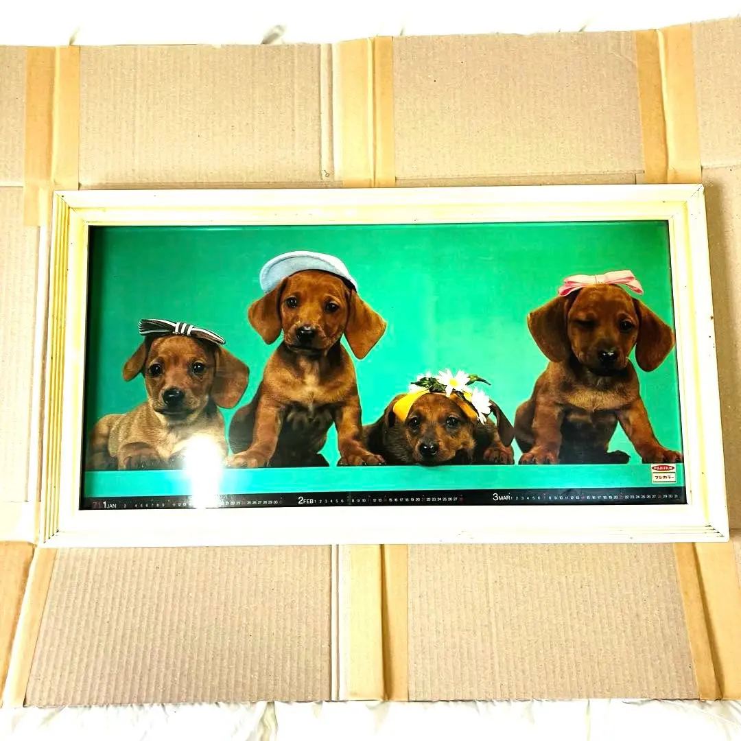 1971年当時物 フジカラー 犬 カレンダー付き 大型パネル 昭和レトロ