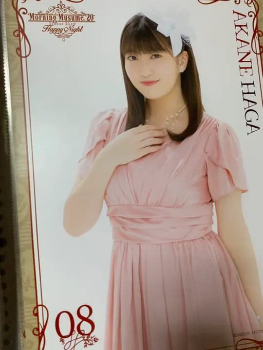 20ディナーショー羽賀ピンナップポスター ピンポス