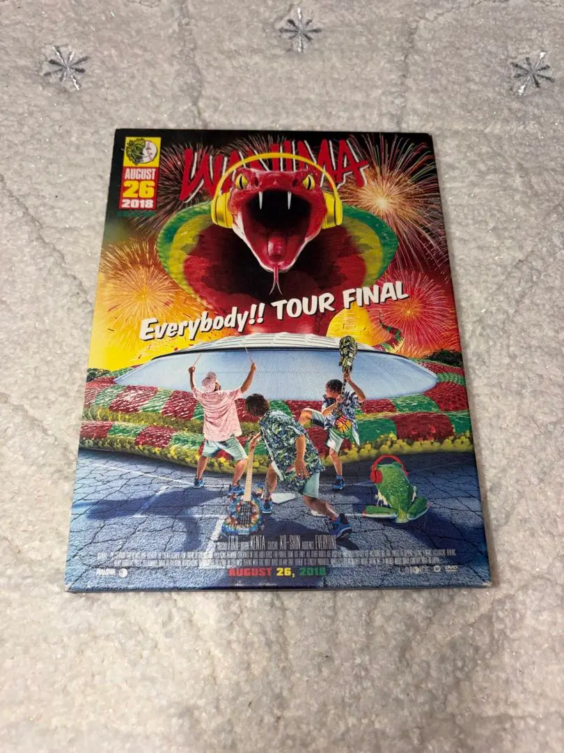 【美品！】WANIMA Everybody!! TOUR FINAL DVD