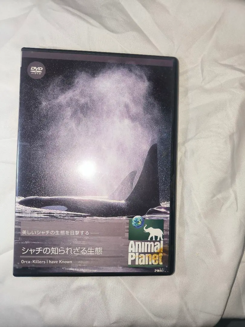 Animal Planet シャチの知られざる生態 DVD