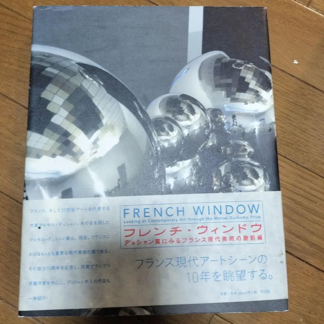 フレンチ・ウィンドウ : デュシャン賞にみるフランス現代美術の最前線