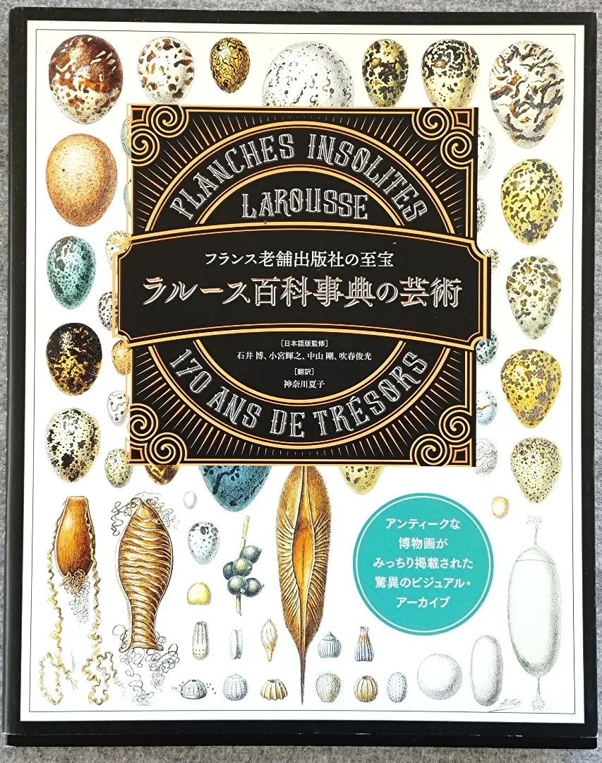 ★★★ラルース百科事典の芸術 2,900円＋税★★★