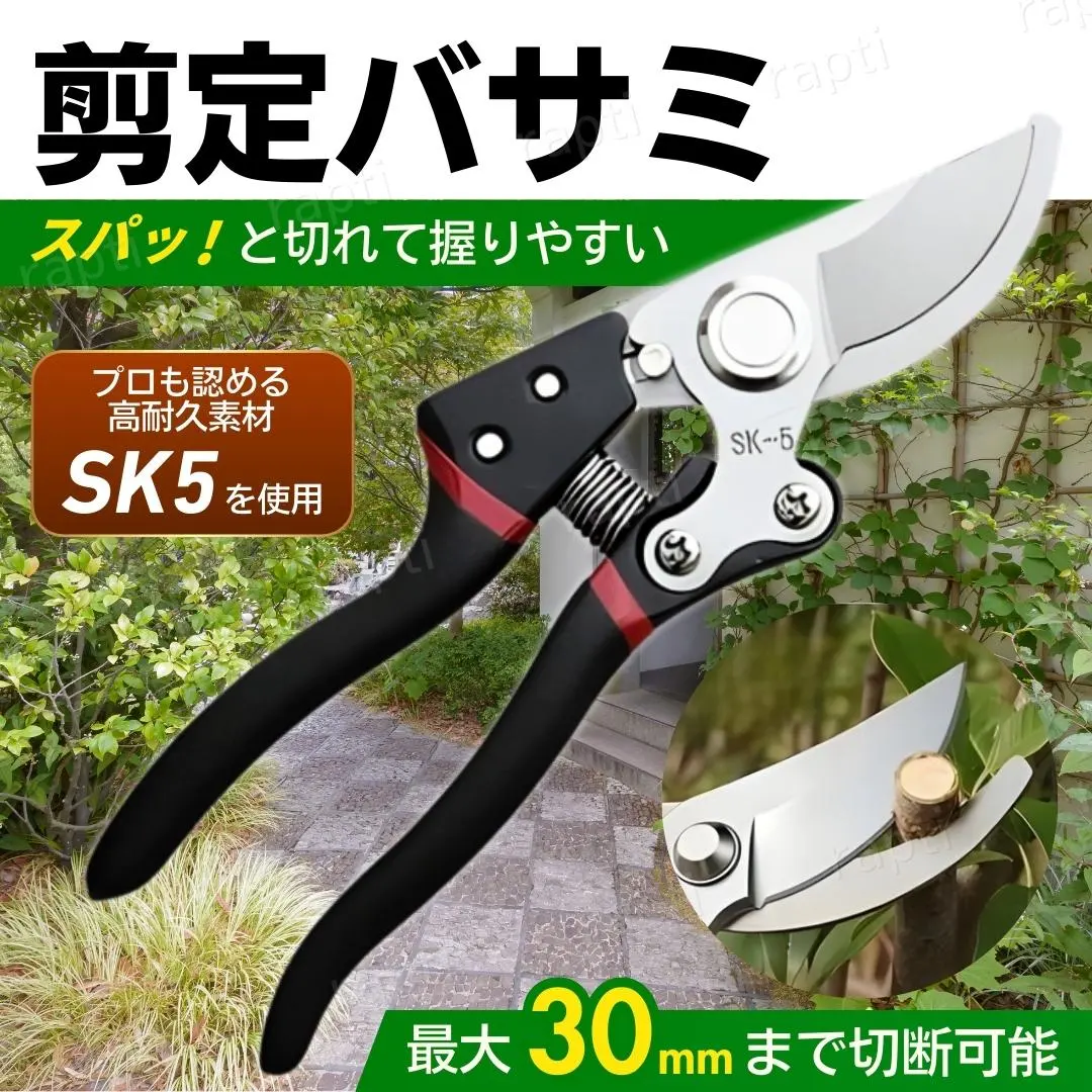 剪定バサミ はさみ ハサミ ばさみ 園芸 枝切り ガーデニング 果樹 収穫 庭木