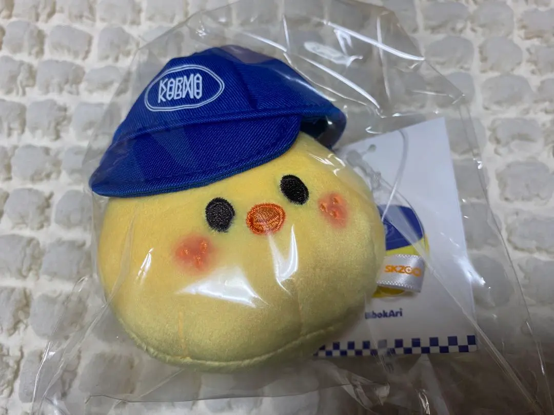 Stray Kids スキズ KARMA ボールキャップ ポガリ キーリング