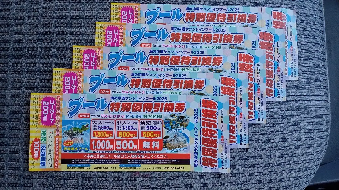 超速 ネコポス 翌日配達 夏サマーランド プール チケット フリー 超速 ネコポス 翌日配達 夏サマーランド プール チケット フリー