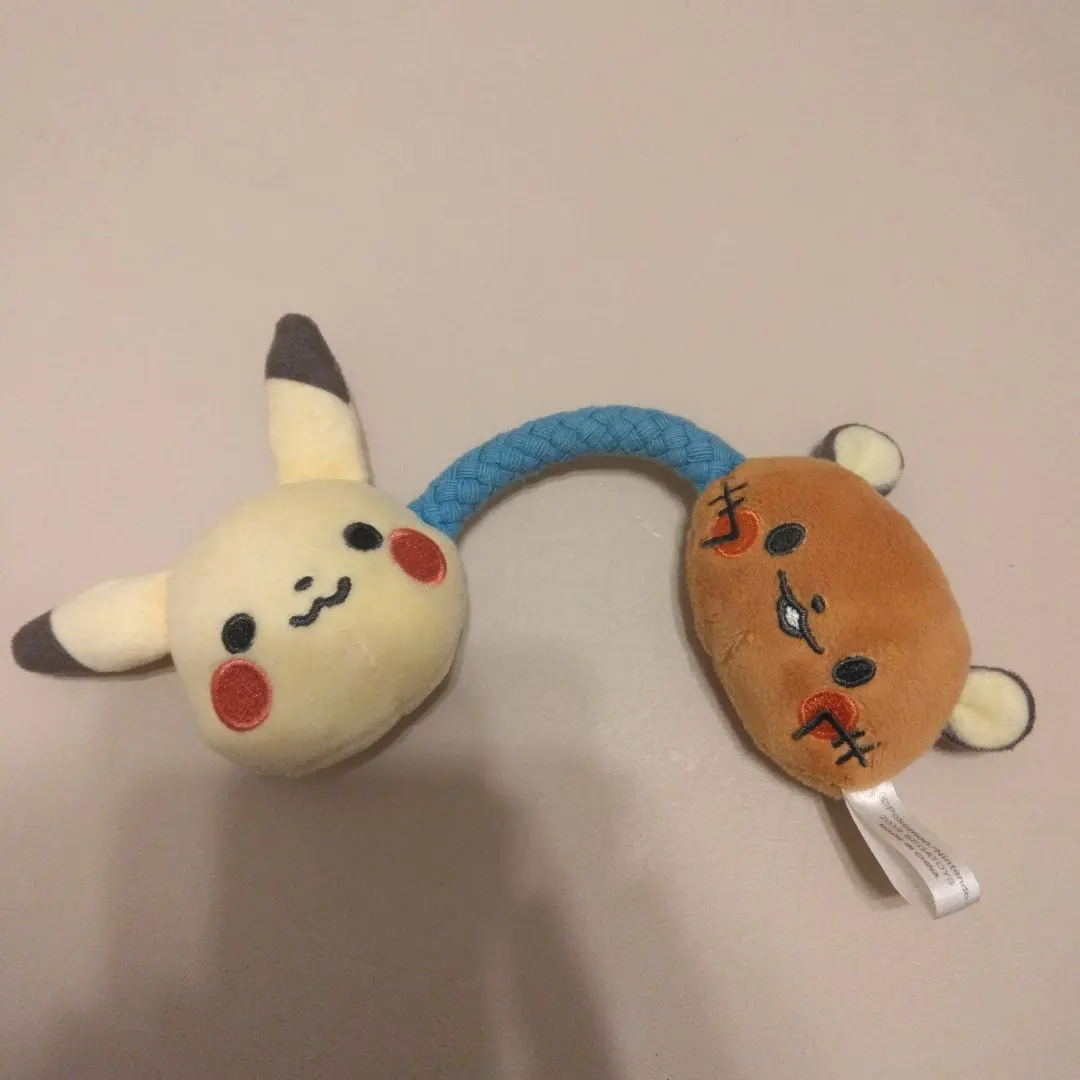 ピカチュウとデデンネのラトル