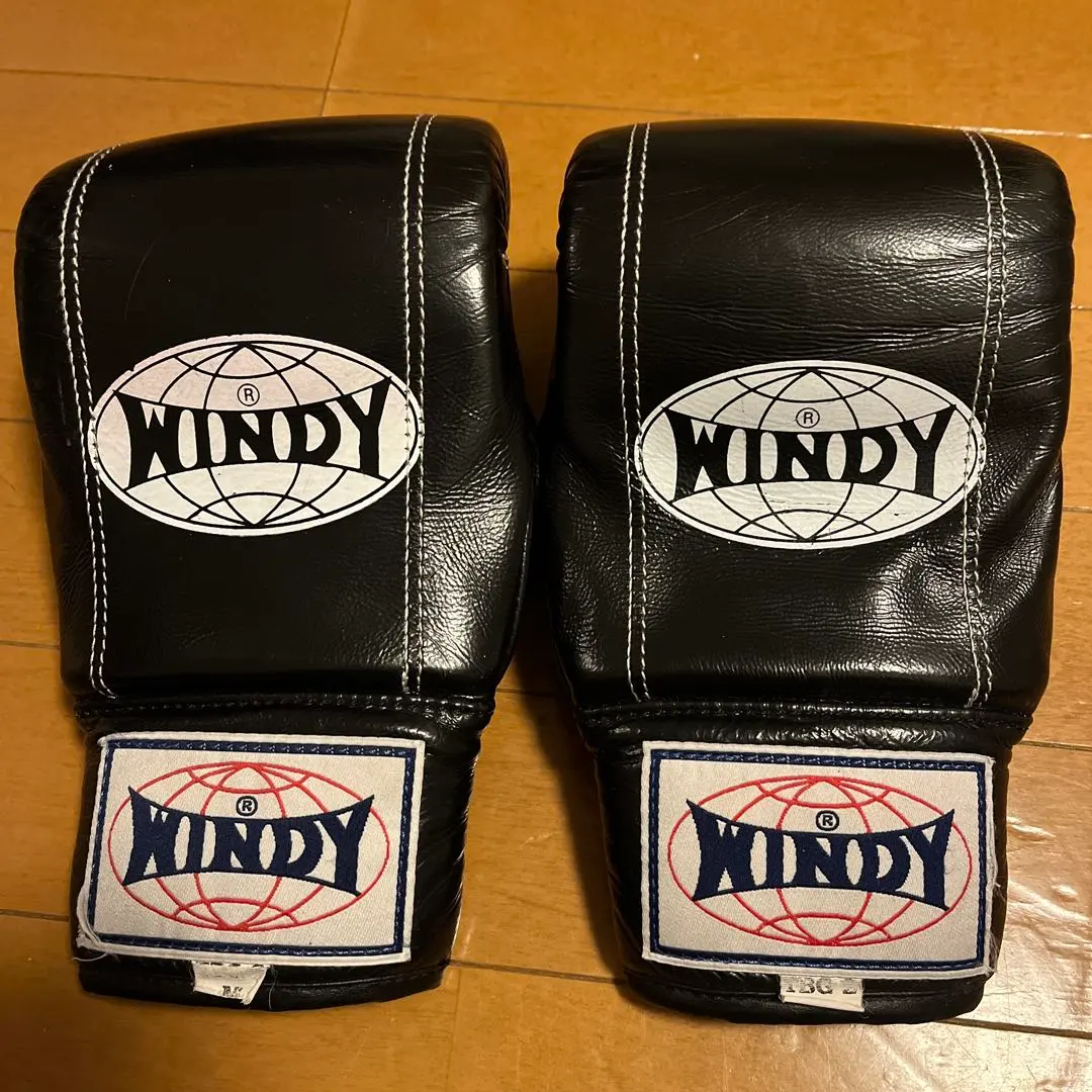 WINDY ボクシンググローブ TBG 2 M
