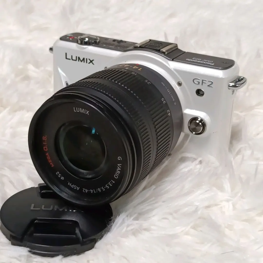 【人気カラー】Panasonic LUMIX GF2 ミラーレスカメラ