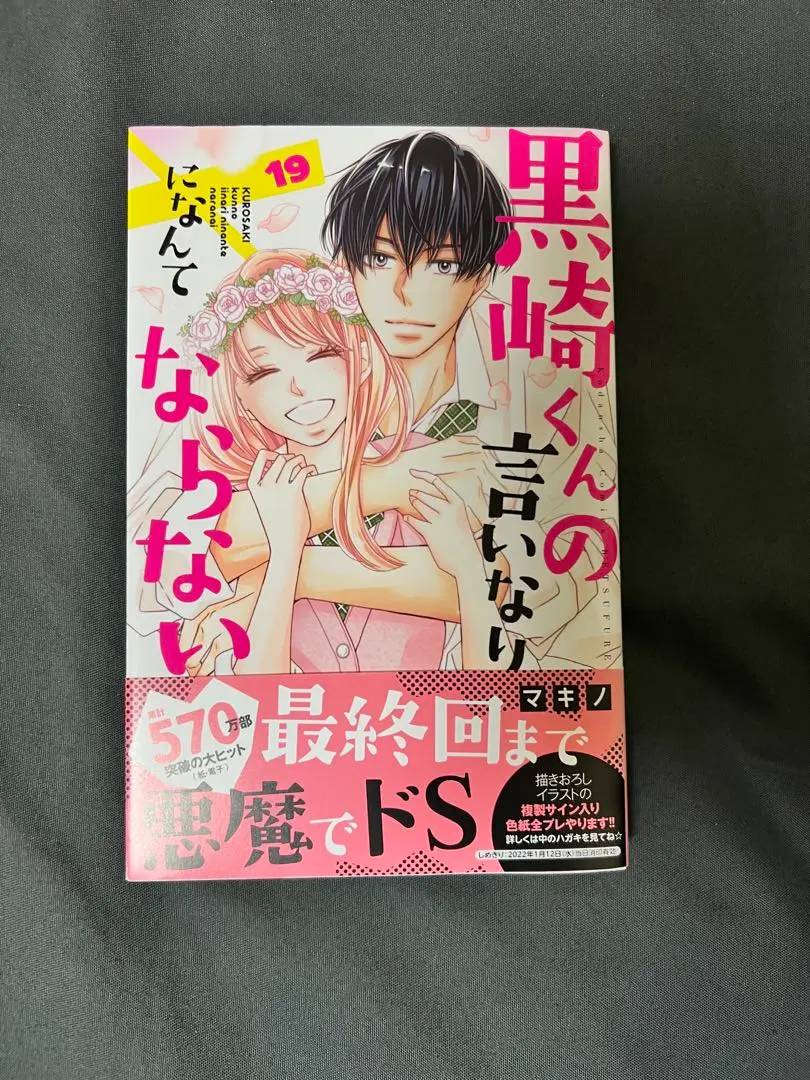黒崎くんの言いなりになんてならない 19