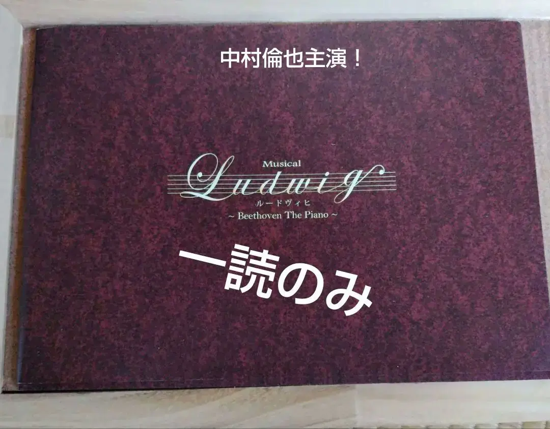 中村倫也　ミュージカルパンフルードヴィヒ Beethoven The Piano