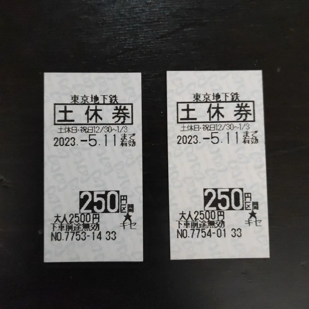東京メトロ土休券250円×2枚