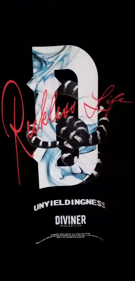 DIVINER 　希少　ディバイナー ロンT 黒 M ロゴ ストリート　蛇