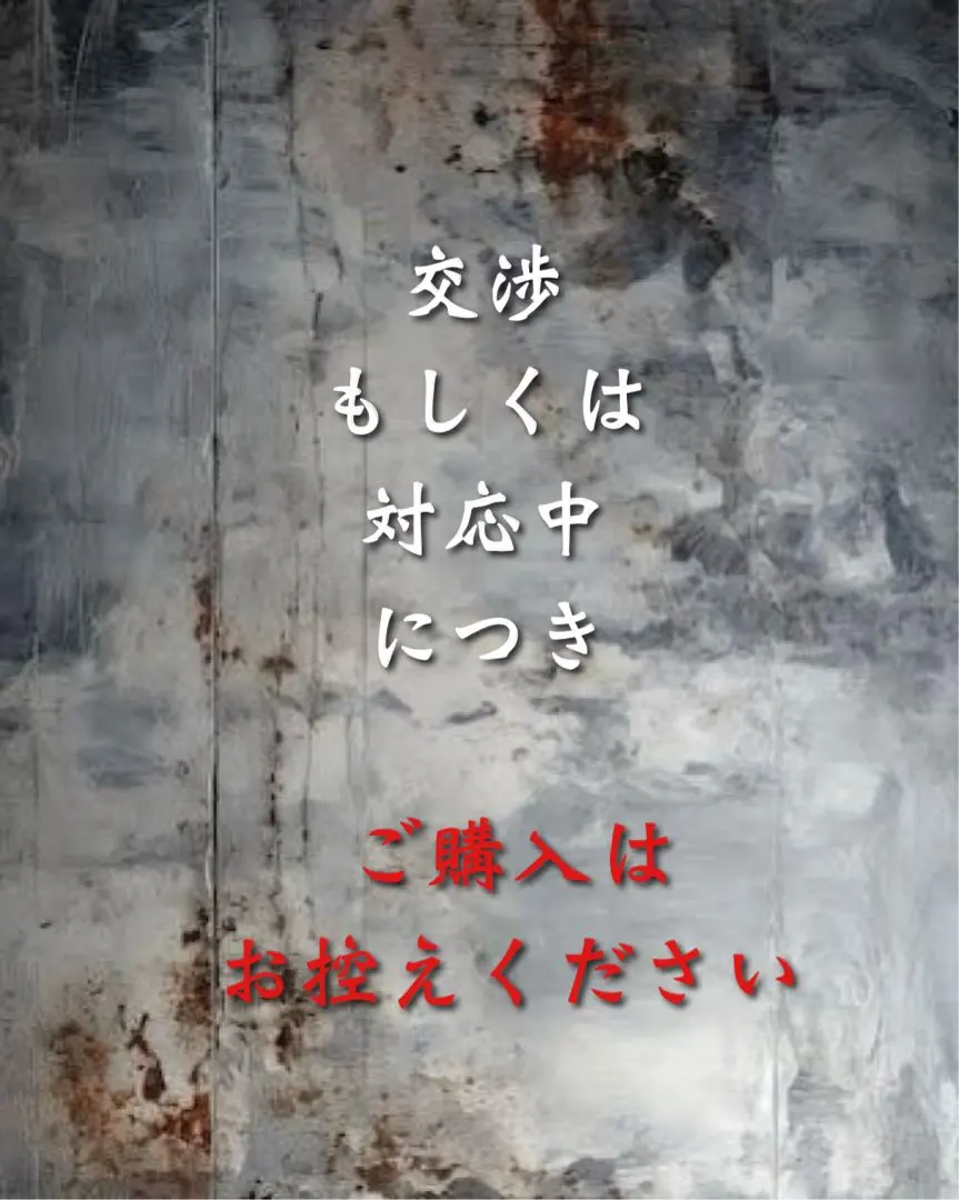 アラスカンジャケットL (日本M) ラクーンファー シェラデザインズ 復刻タグ