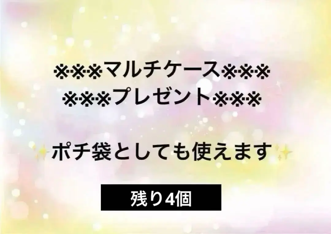 マルチケース　プレゼントページ　残り12個